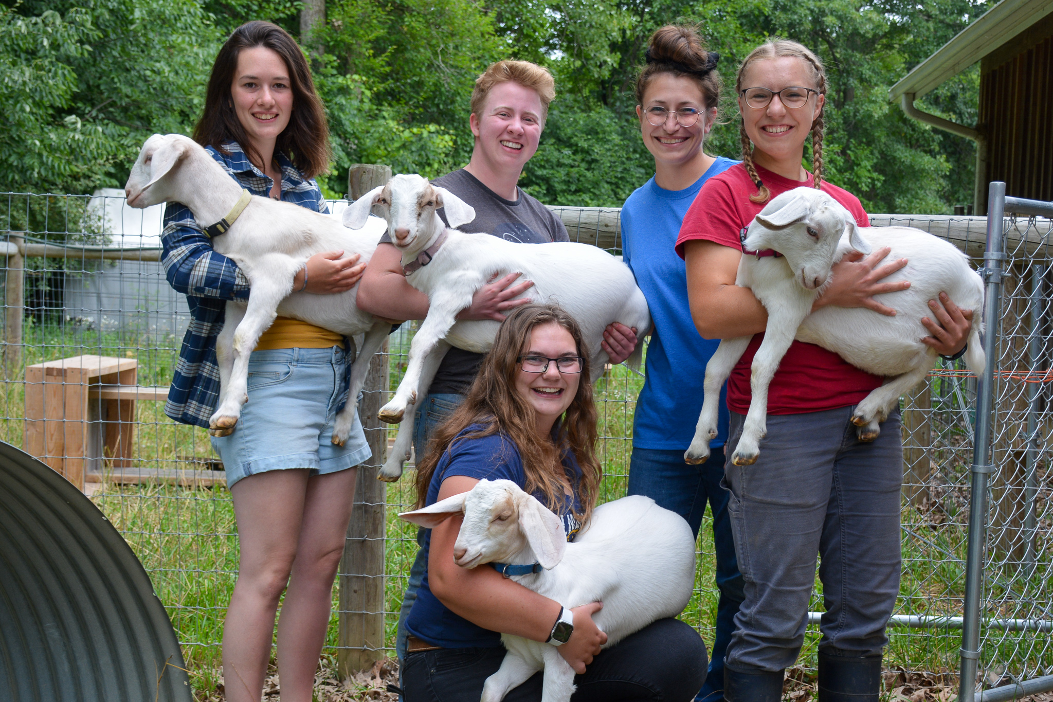 Merry Lea Teaching Farm goats