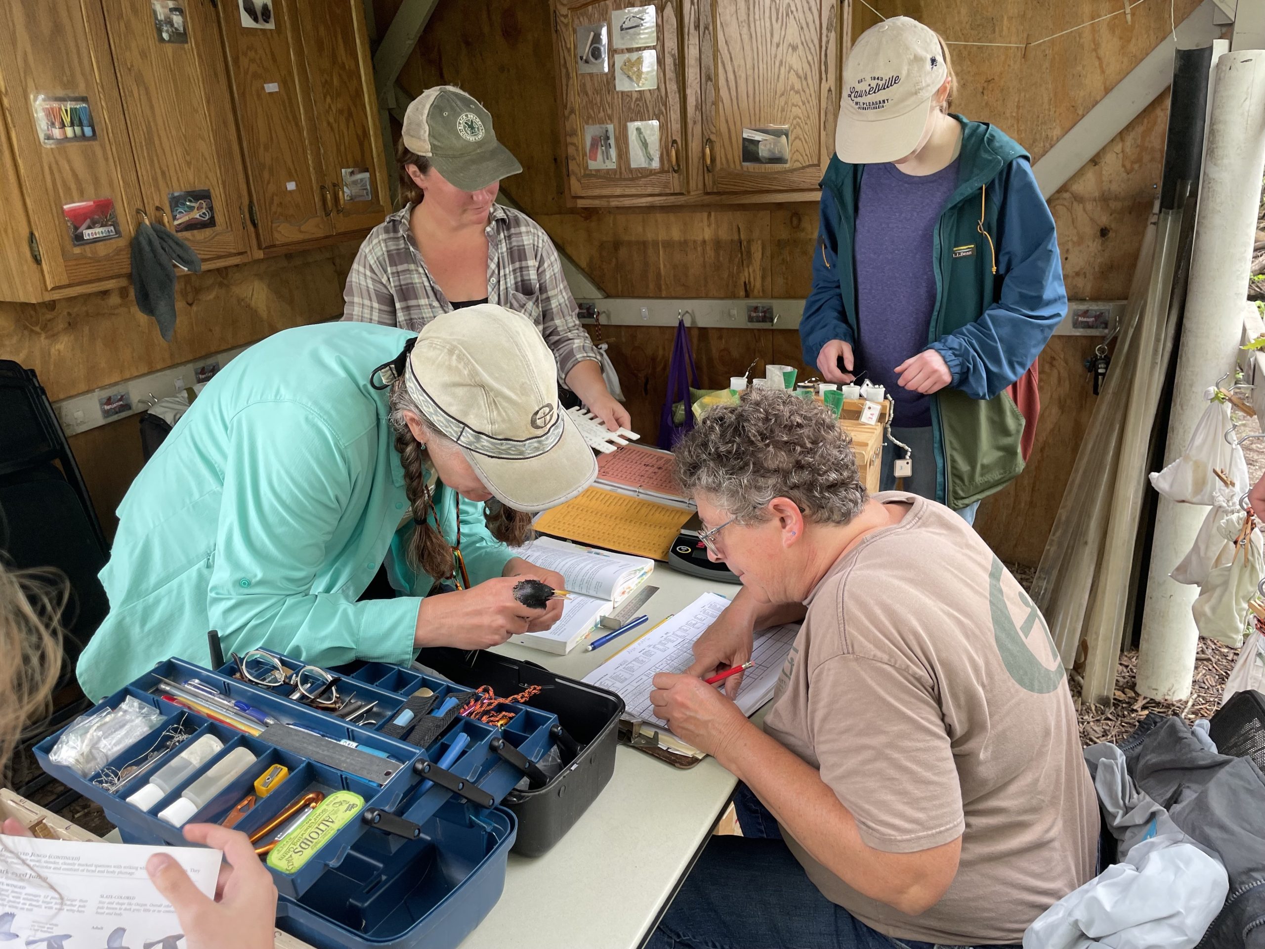 Bird Banding Volunteers