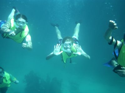 Students swimming during Marine Biology term