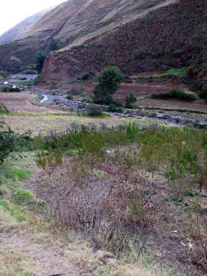 Arriving at the chacra where Alberto works in Lucre.