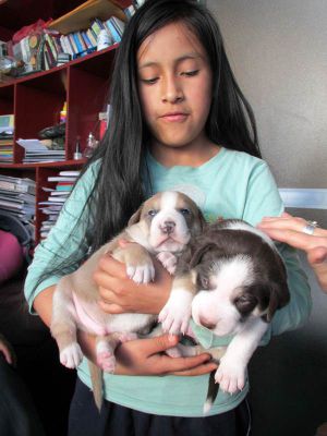 Wendy holds up two newcomers to the family.