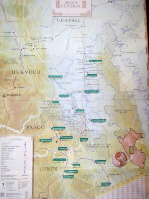 A map of the Chanchamayo area inside our chifa restaurant.