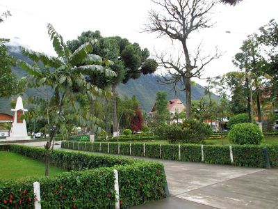 Scenes from the plaza, surrounded by many flowering trees.