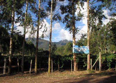 At the edge of the park is a sign from the Selvámonos festival that Anna and Claire attended in late June.